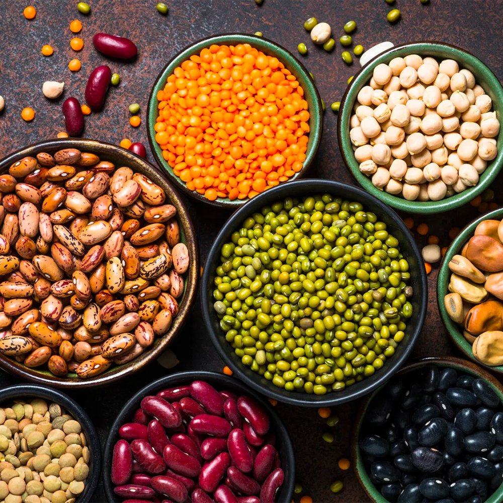 Saporita - LÉGUMINEUSES